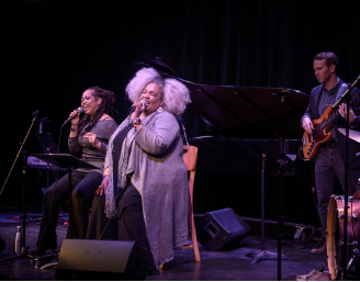Tanglewood lawn performance