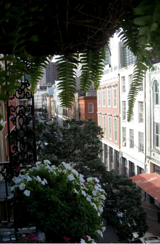 New Orleans balcony view
