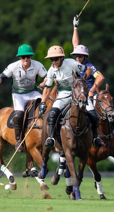 Hamptons polo match